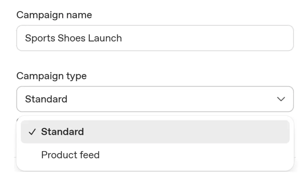 ChatGPT Ads campaign name and type fields